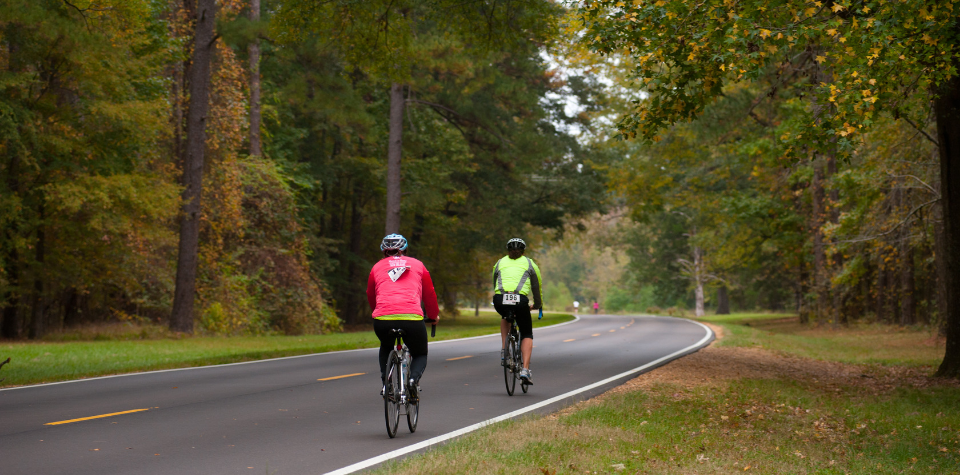 Natchez Trace State Park Tennessee State Parks