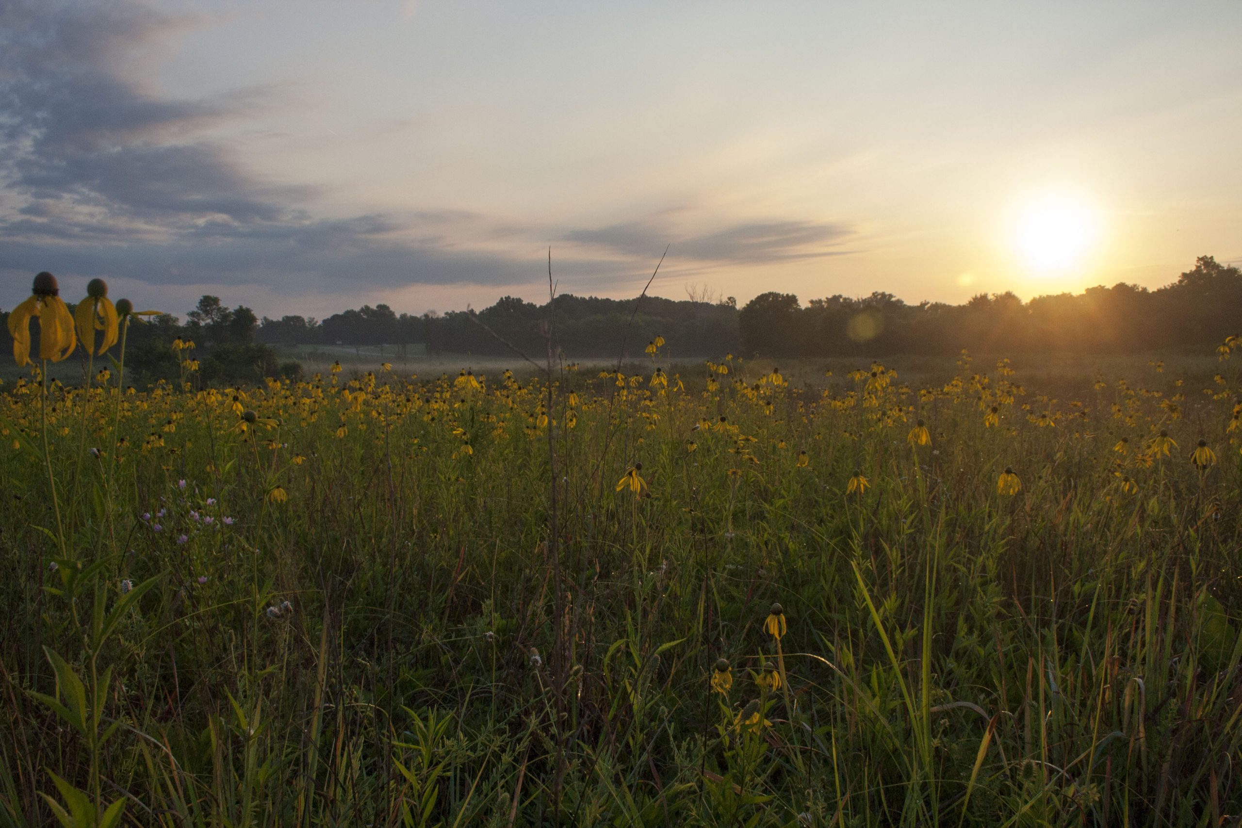 About the Natchez Trace Parkway | Explore the Scenic Parkway