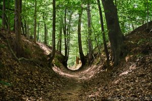 Natchez Trace Parkway Sunken Milepost