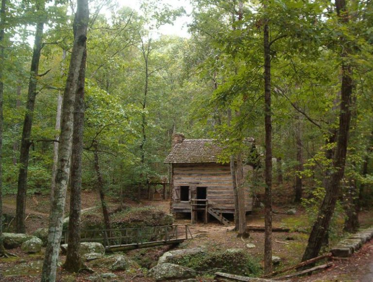 Hiking The Natchez Trace Trail - Nature Walks & Guides